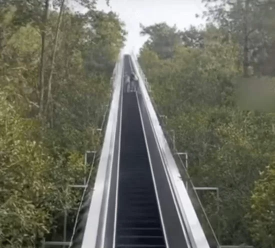 Trung Quốc lắp đặt thang cuốn khổng lồ thay thế cho việc đi bộ leo núi