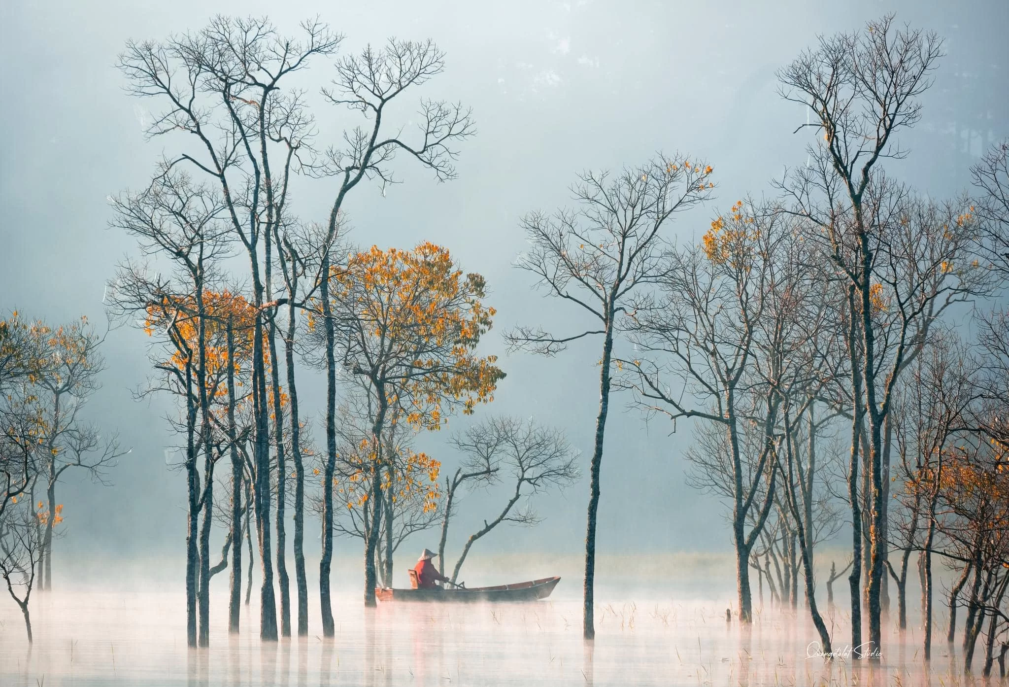 Mùa Thu lá rụng ở Hồ Tuyền Lâm - Đà Lạt như một bức tranh Thủy mạc hút hồn người xem