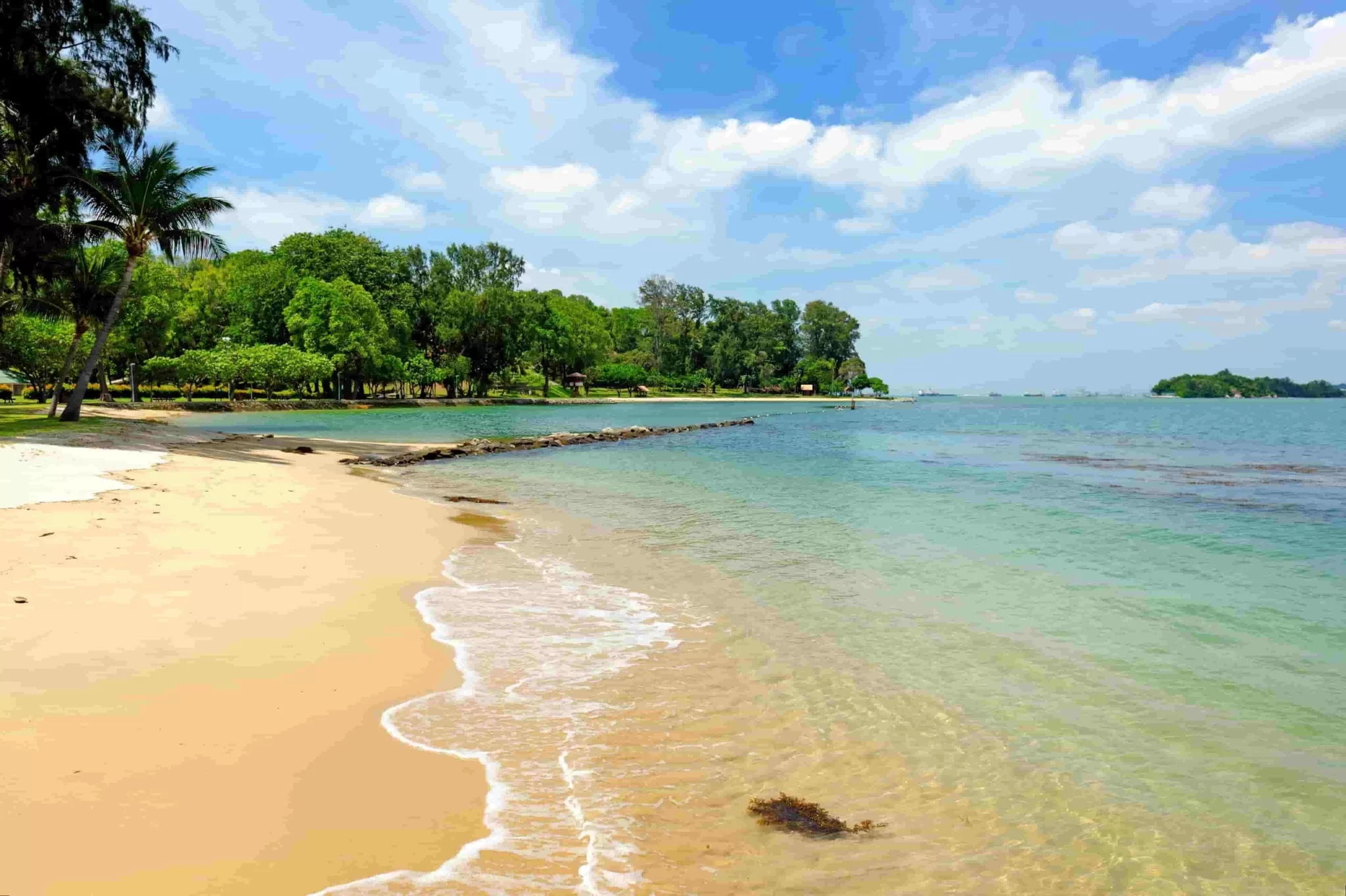 Top 5 bãi biển đẹp nhất Singapore mà bạn nên đến thử một lần (Phần 2)