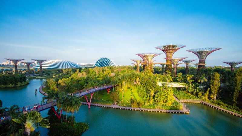 Tham quan Gardens by the Bay, vườn nhân tạo quy mô khủng tại Singapore