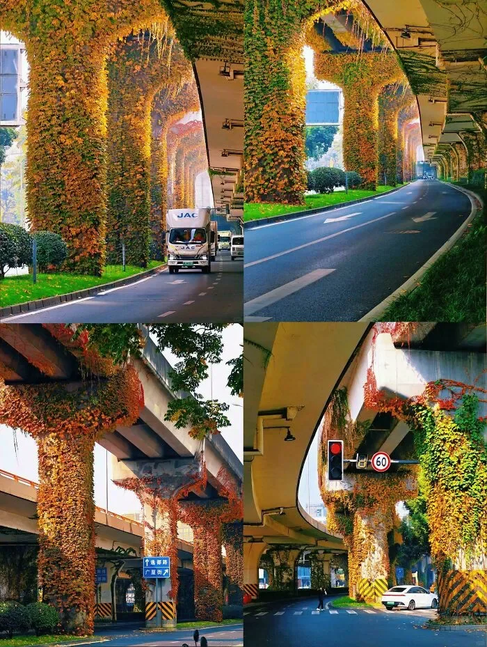 1790138994363.webp