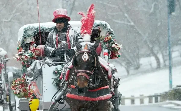 1792818518569.webp