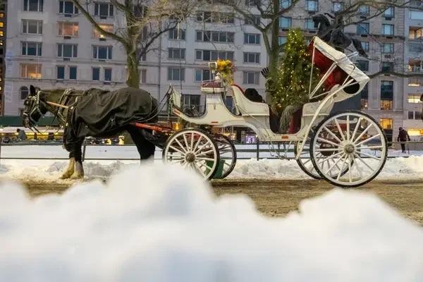 1792821307034.webp
