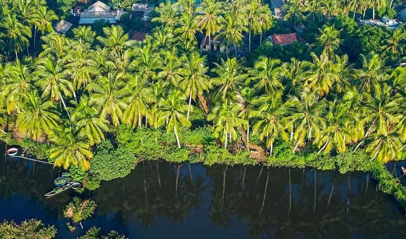 Du Lịch Bến Tre - Thiên Đường Nghỉ Dưỡng, Trải Nghiệm Nét Độc Đáo Hấp Dẫn Khách Du Lịch Nơi Đây