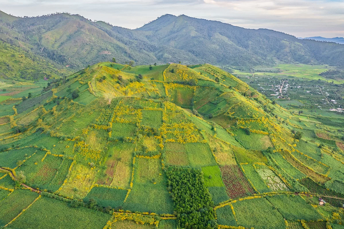 Gia Lai đề nghị tăng chuyến bay dịp Tuần lễ hoa dã quỳ