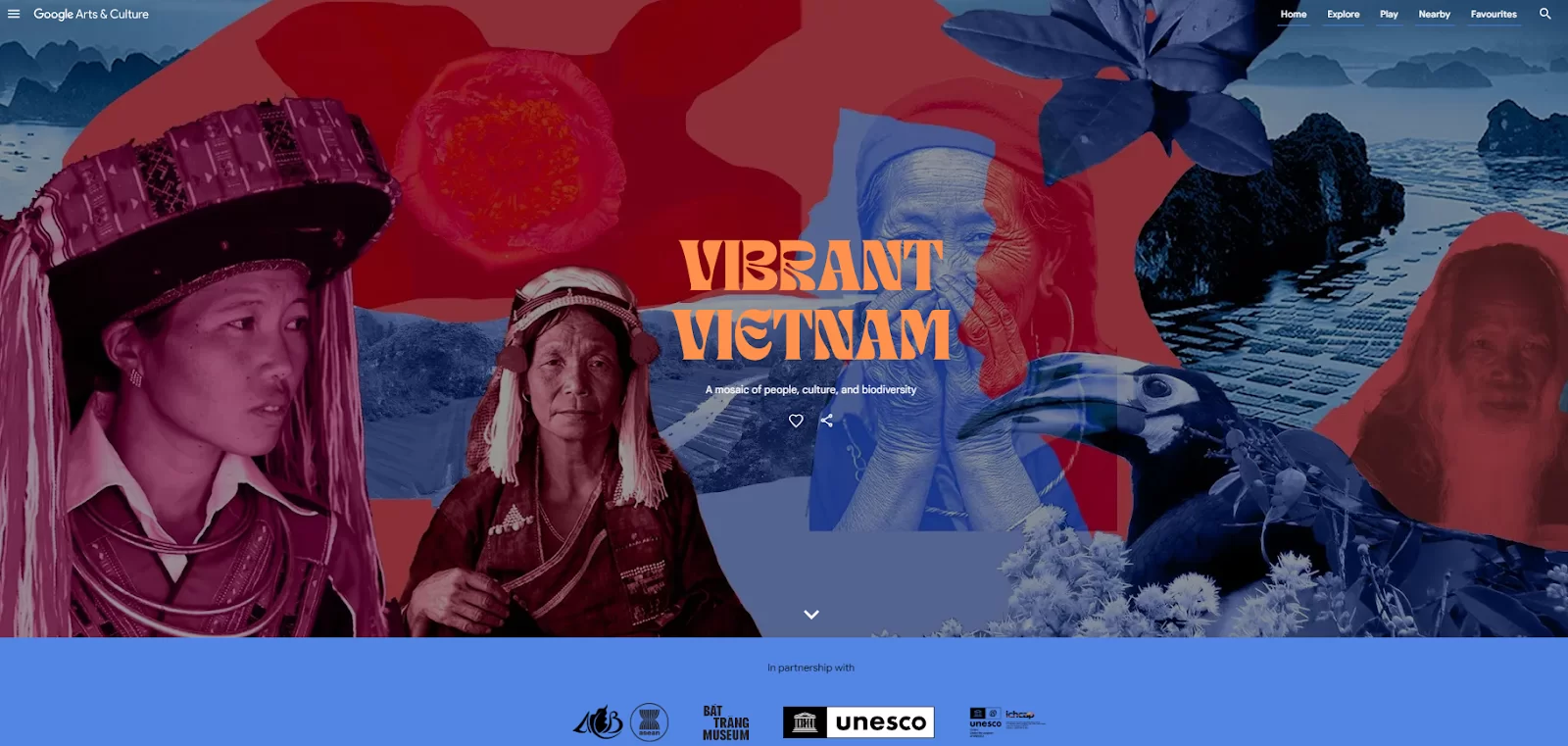 Ra mắt triển lãm Vibrant Vietnam  Mảnh ghép đa sắc về thiên nhiên và văn hóa Việt Nam trên Go...webp