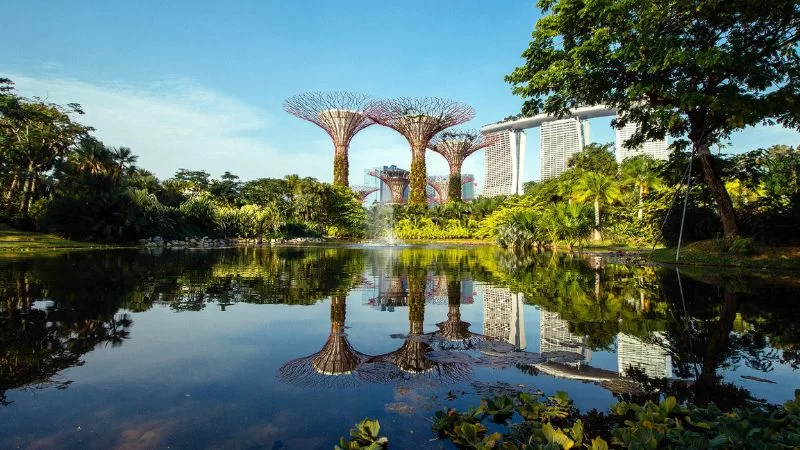 Tham quan Gardens by the Bay vườn nhân tạo quy mô khủng tại Singapore-5.webp