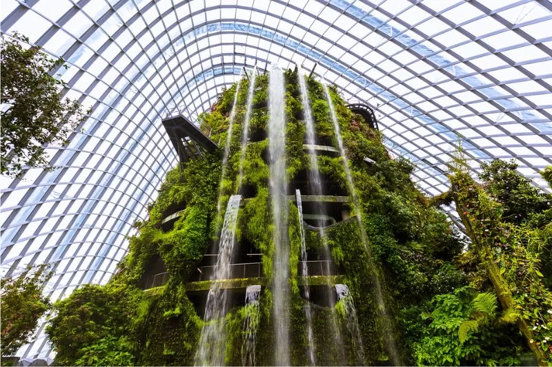 Tham quan Gardens by the Bay vườn nhân tạo quy mô khủng tại Singapore-6.webp