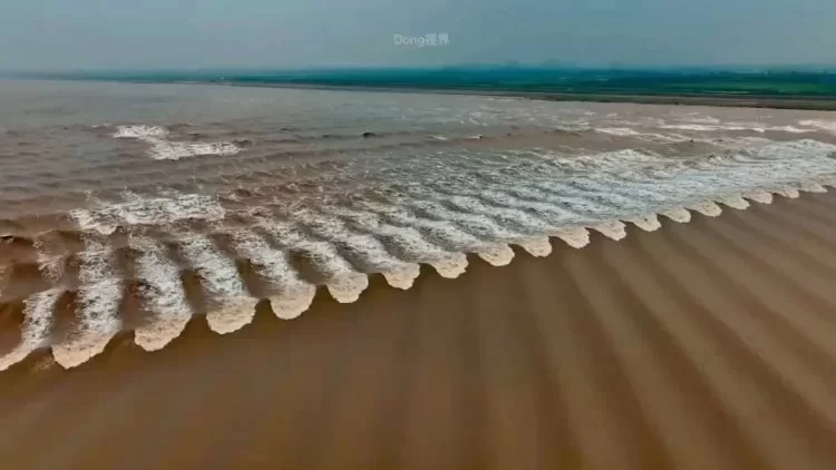 Thủy triều vảy cá – Hiện tượng tự nhiên chỉ có ở sông Tiền Đường Trung Quốc