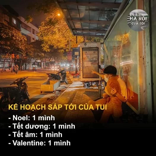 Gấu chưa có mà gió đã về